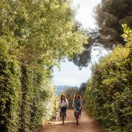 Eco-friendly In Wine Estate 別荘 フロンティニャン