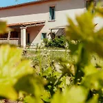 Eco-friendly In Wine Estate