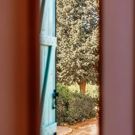 Casa vacanze Eco-friendly In Wine Estate