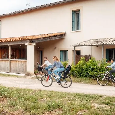 Eco-friendly In Wine Estate