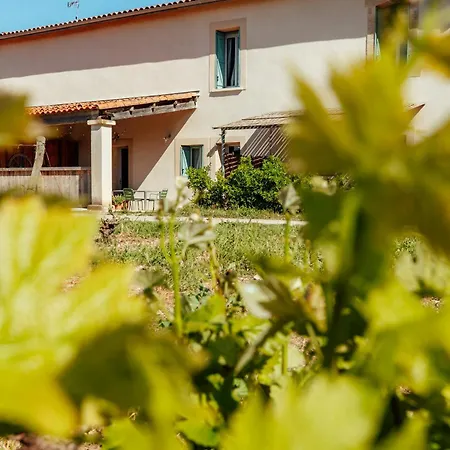 Eco-friendly In Wine Estate