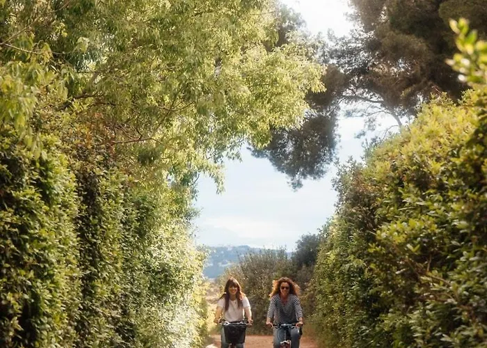 Eco-friendly In Wine Estate Casa de Férias Frontignan