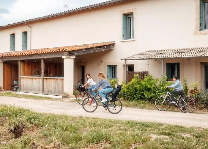 Eco-friendly In Wine Estate